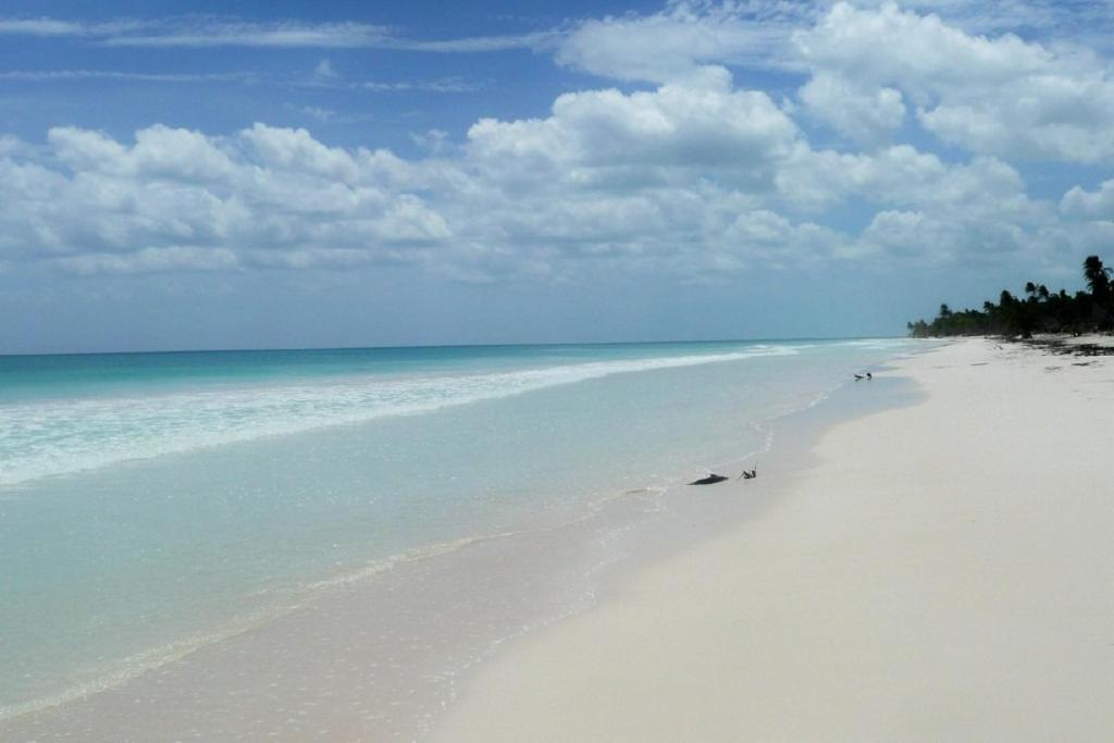 Casa Pelicanos Tulum Beach Mx - Next To Hotel Zone Zewnętrze zdjęcie